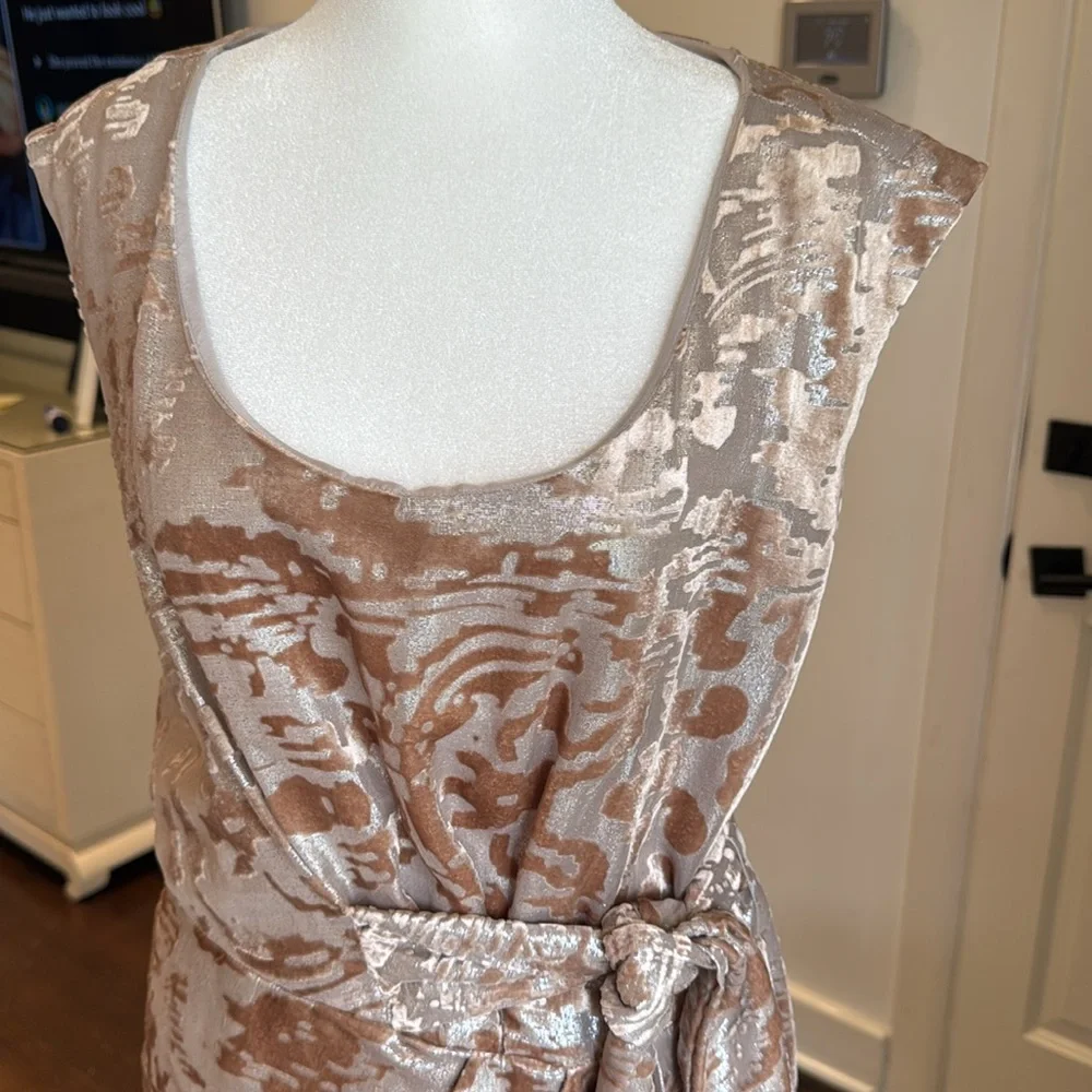 Cynthia Steffe - Josie Burnout Blush & Champagne Gold Metallic Dress - Size: 2 - Picture 3 of 9